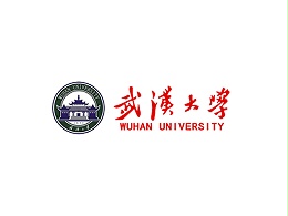 华廉软件-武汉大学